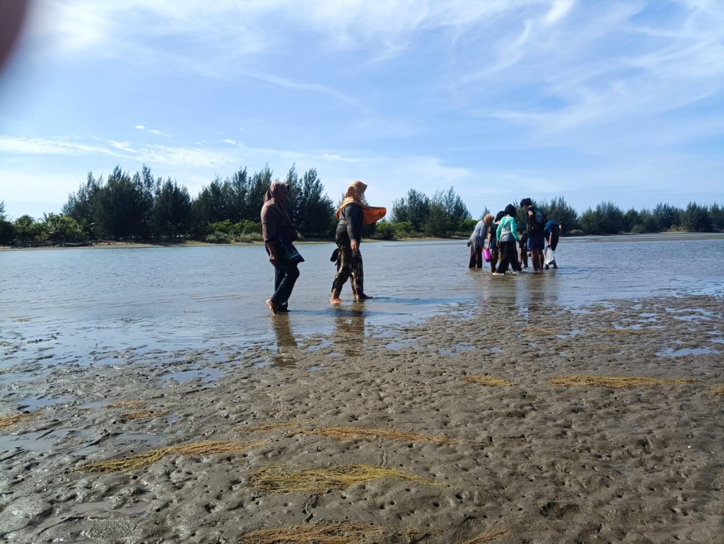 Masyarakat Kajhu Mencari Kerang Dipesisir Pantai Untuk Konsumsi Pribadi