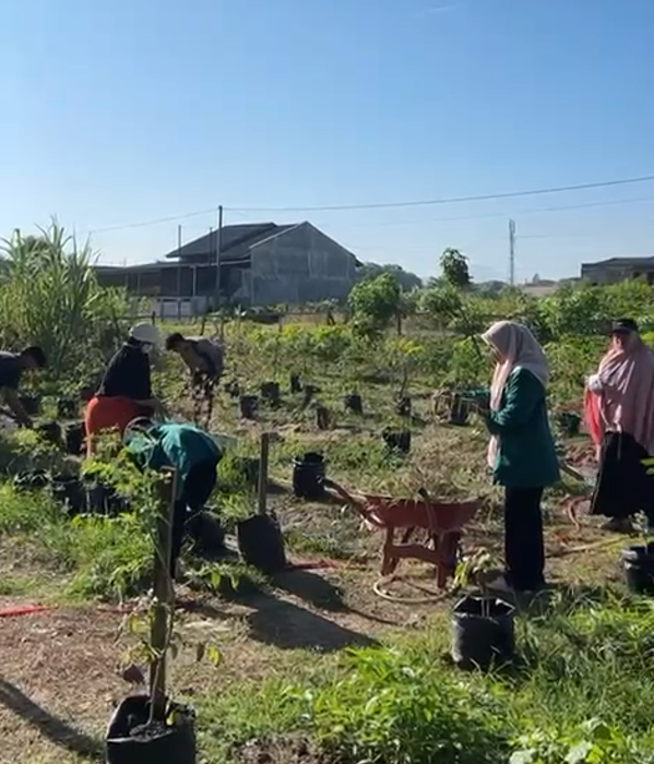 Gampong Kajhu Memiliki Kegiatan Berkebun yang Dikelola Oleh Ibu PKK 